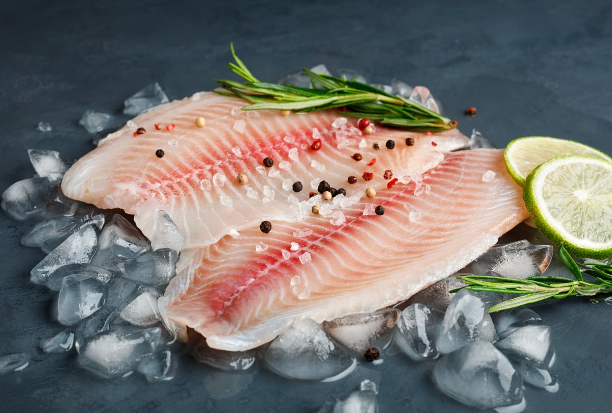 Fresh fish fillet of sea bass in ice on a dark slate background