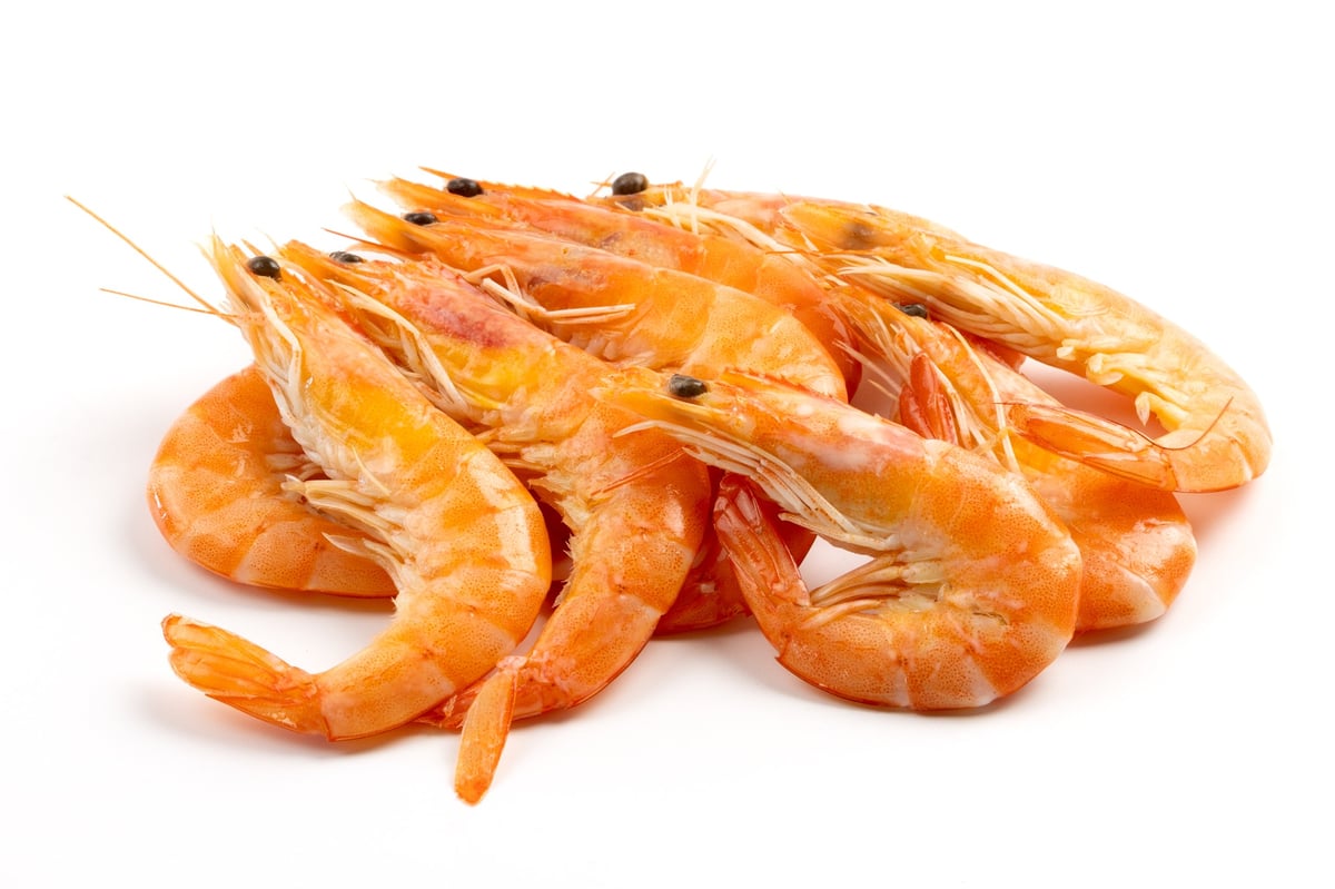 Mariscos frescos sobre hielo