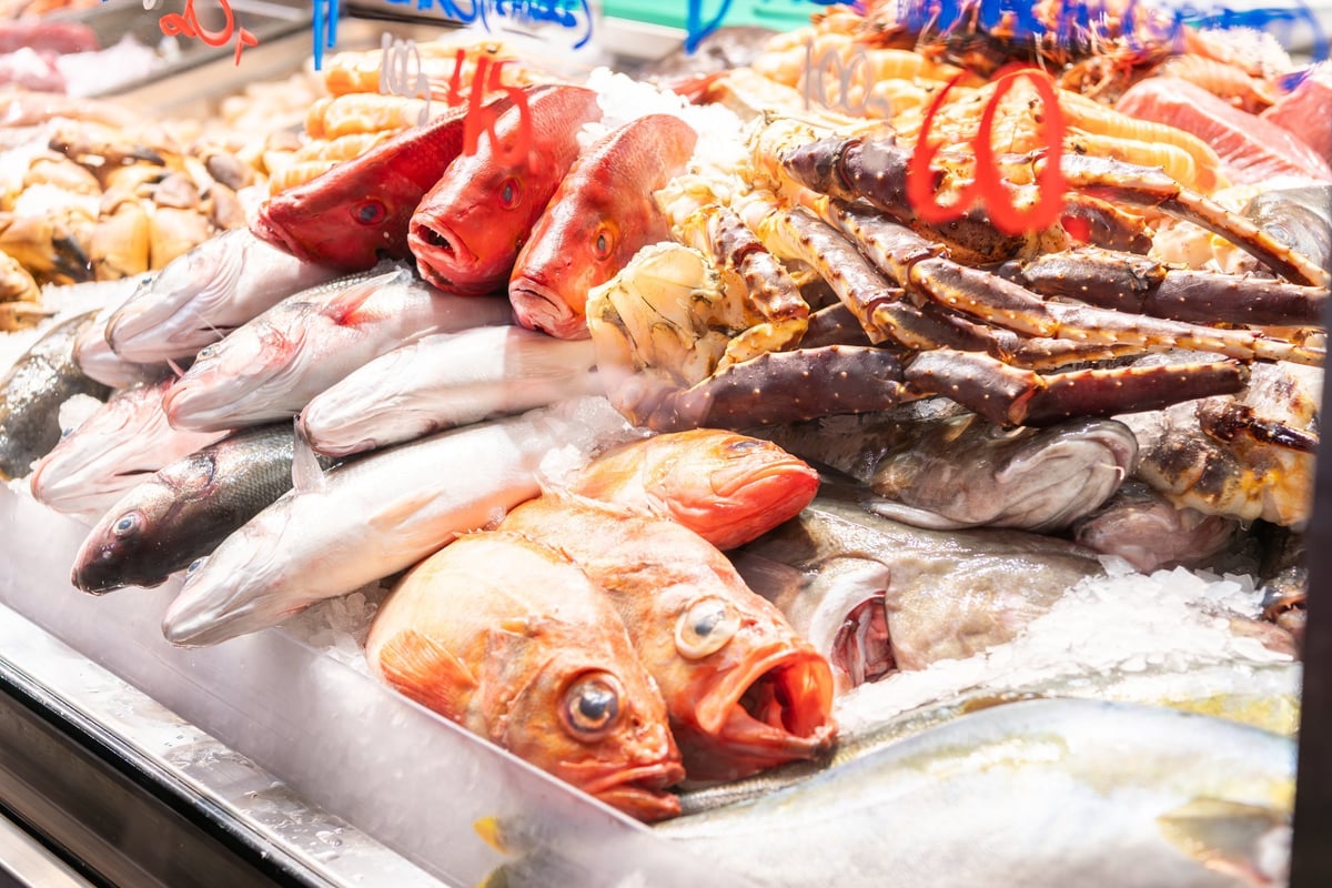 Different kinds of fresh fish lying on ice in food market