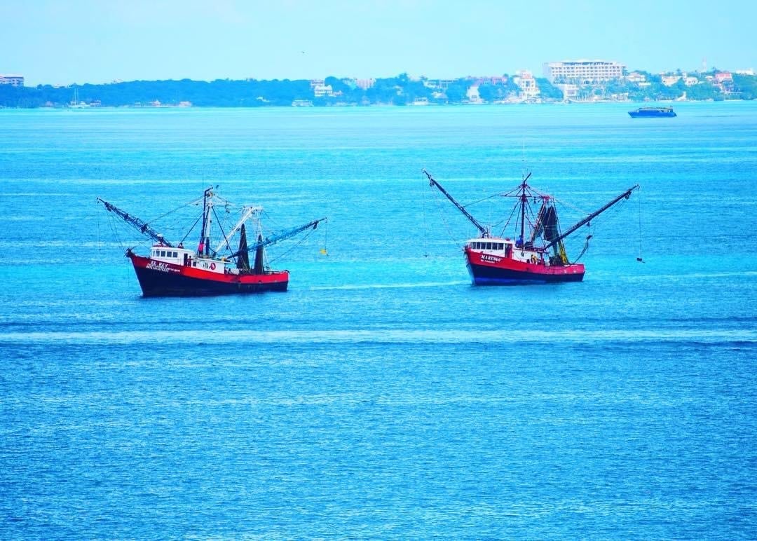 Two red fishing boats anchored in clear blue water with a coastal town visible in the background